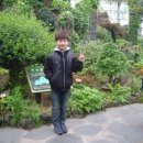 으뜸합기도체육관 이미지