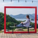 게으른 악어 이미지