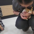 미사늘봄동물병원 이미지