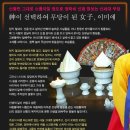 미애사 Daum카페