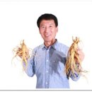 진안1호 이미지