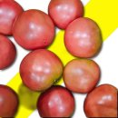 토마토 이미지
