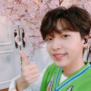 라이브하이 이미지