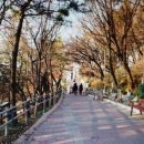 자유공원로 이미지