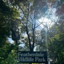 뽀삐뽀삐 이미지