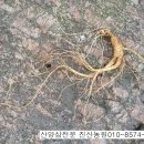 진산농장1 이미지