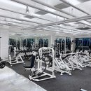 바디와이짐 이미지