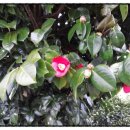 정화여인숙 이미지