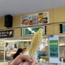 투비팜 | [일본]8월 삿포로 여행후기3(day2, 비에이 투어(하루...청의호수-흰수염폭포-팜토미타(feat.비에이...