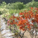 부리농장 이미지