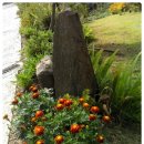 녹수와 청산의 집 이미지