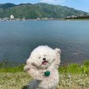 성우발전 | 짜릿한 정남 성우님과의 특강 후기!!