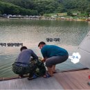 남창낚시터 이미지