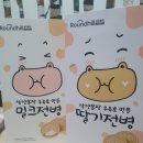 대관령농특산물 | 삼양목장 우유 전병 구매 후기, 가격 - 대관령 지역 특산물 선물 세트, 기념품