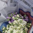 꽃과놀다