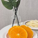 다둥이농장 | 제주천혜향 천혜향선물세트 신선한 제철과일 후기