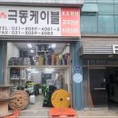 극동전선
