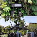 나발마을회관 이미지