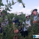 관성2농장 이미지