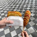 콩가듀에 | 고창, 부안, 군산, 전주 :: 시간여행101 스탬프 투어 후기