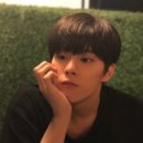 우석넷