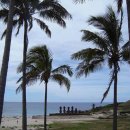 남원읍-123 이미지