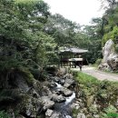 순천-46호 Daum카페