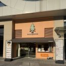 청솔로9 | [소하동카페] 청솔로9 광명G타워점 후기