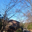 (모임예고) 휴양림 숲속의집 인생수다벙 2차 이미지