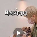꼼꼼하개 이미지