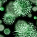 푸른나무아래약국 이미지