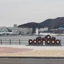 카멜리아 전주횟집 이미지