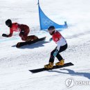 김상겸 카카오 검색결과