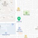 전주강아지분양 미니퍼피 가정견사 직영 이미지