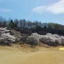 남부권 코스 이미지