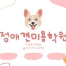 진애견 네이버블로그