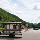 산꽃벚꽃마을 오토캠핑장 이미지