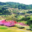 S.I 골프클럽 이미지