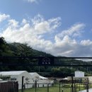 도도독A 이미지