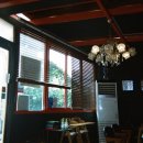 소나무파인트리(PINE TREE) 이미지