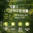 김포커튼블라인드 이미지