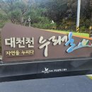 누리길 2 | 가을 산책하기 좋은 곳_금정산 대천천누리길 방문 후기