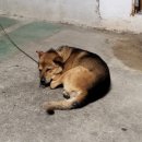 똘이PC방 이미지