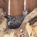 덕촌초등학교 이미지