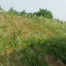 하길초등학교 이미지