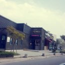 타박타박커피산책