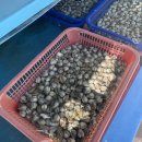 우리손칼국수 이미지