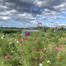 오곡 오지 이미지