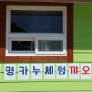 투명카누체험 네이버블로그