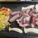 착한오리와돼지 이미지